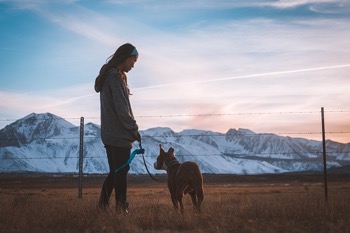 Walk the dog