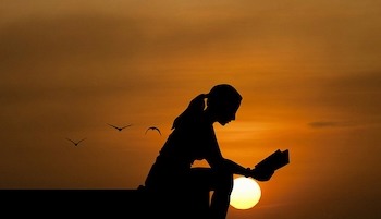 Reader