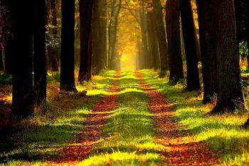 Writing path