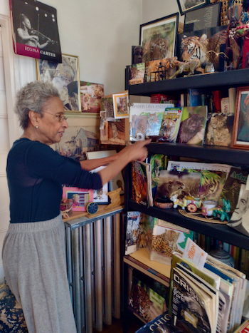 Jean and her cat shelves