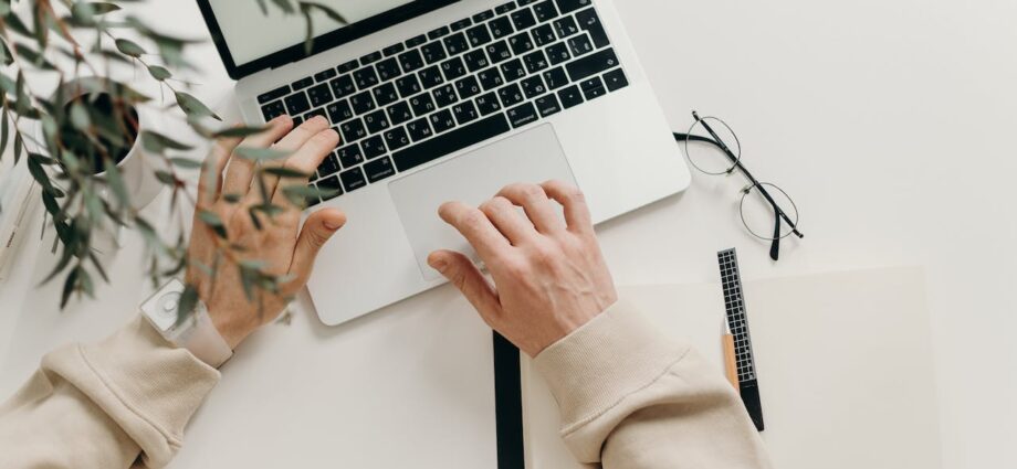 Freelance Writer